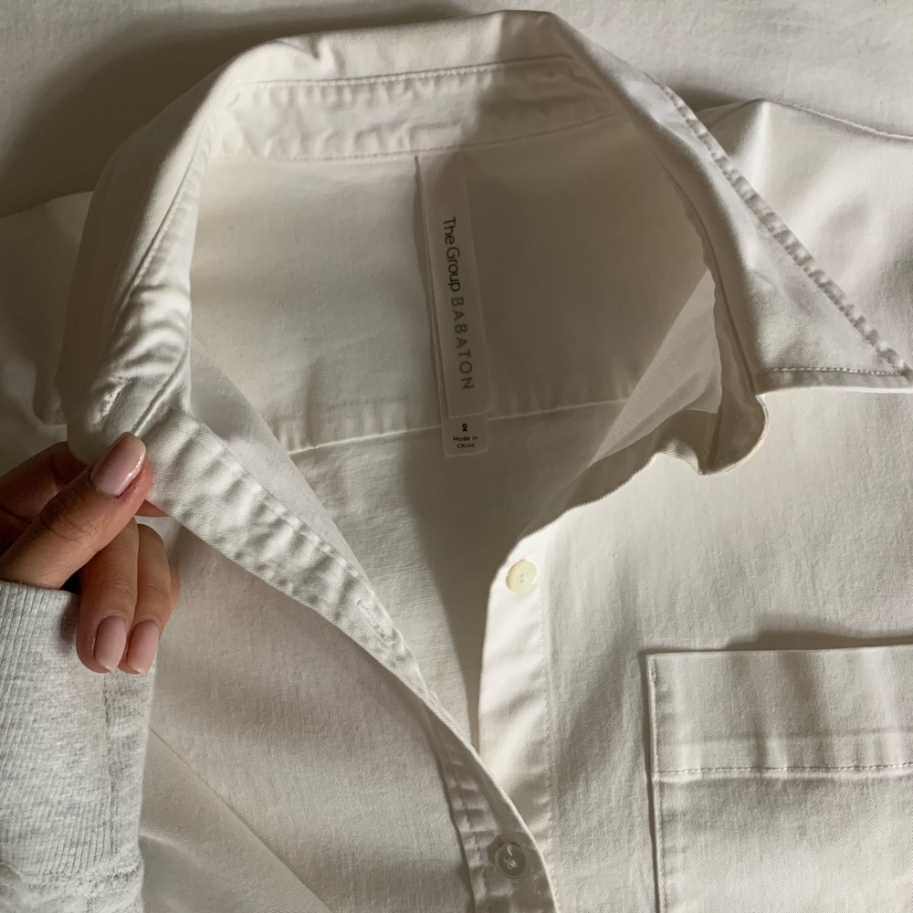 Aritzia Babaton Oversized Blouse